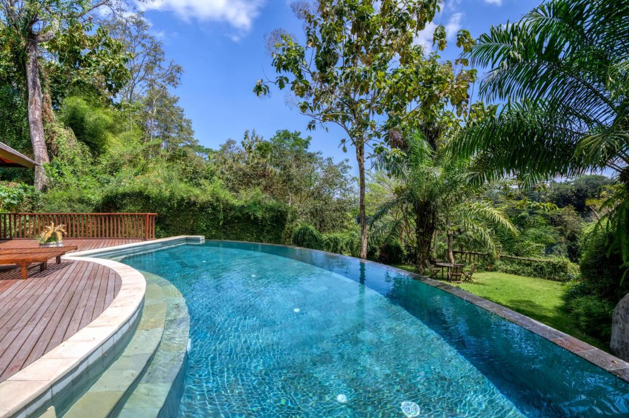 The Grand Bakas Jungle Retreat